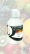 Порошок для аэр-фло Рапсоди ( Rhapsody) Тропик, 300г, Queen Dental, Германия